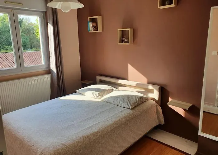 Ecully, Appartement Au Calme De 50M².